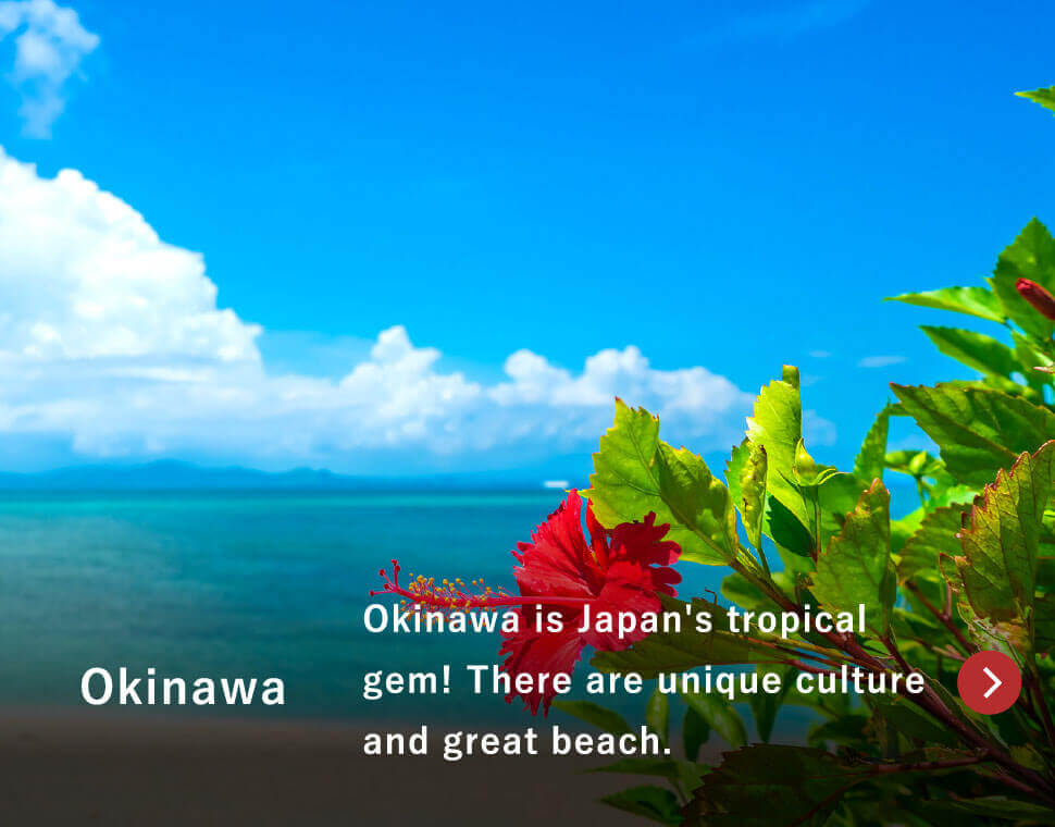 Okinawa / Okinawa is Japan's tropical gem! There are unique culture and great beach.