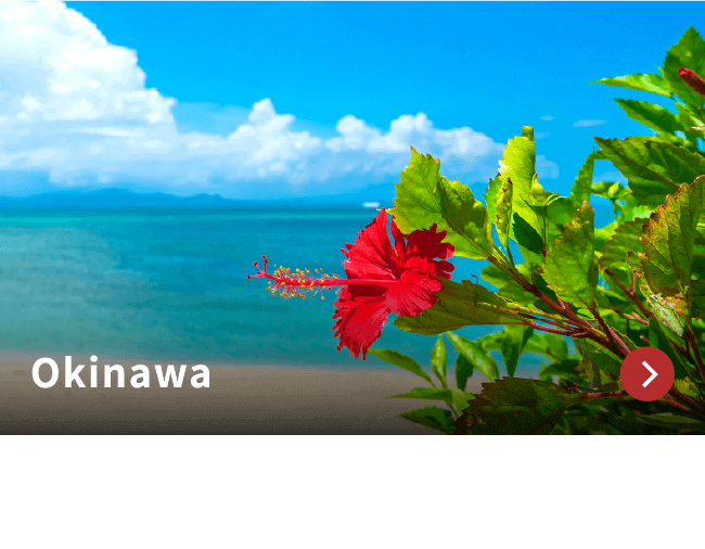 Okinawa / Okinawa is Japan's tropical gem! There are unique culture and great beach.