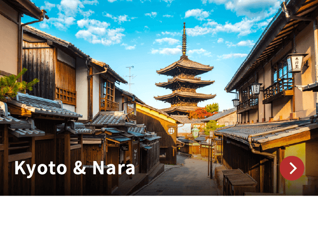 Kyoto & Nara / There are so many Japan’s most largest and oldest temples in Nara and Kyoto.